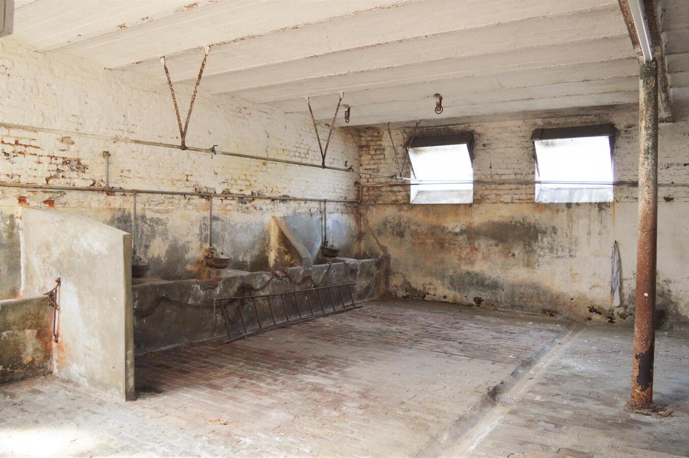 Herenhuis met stallingen op 2.726m² te Lessen (mogelijkheid tot 1ha extra weiland) 