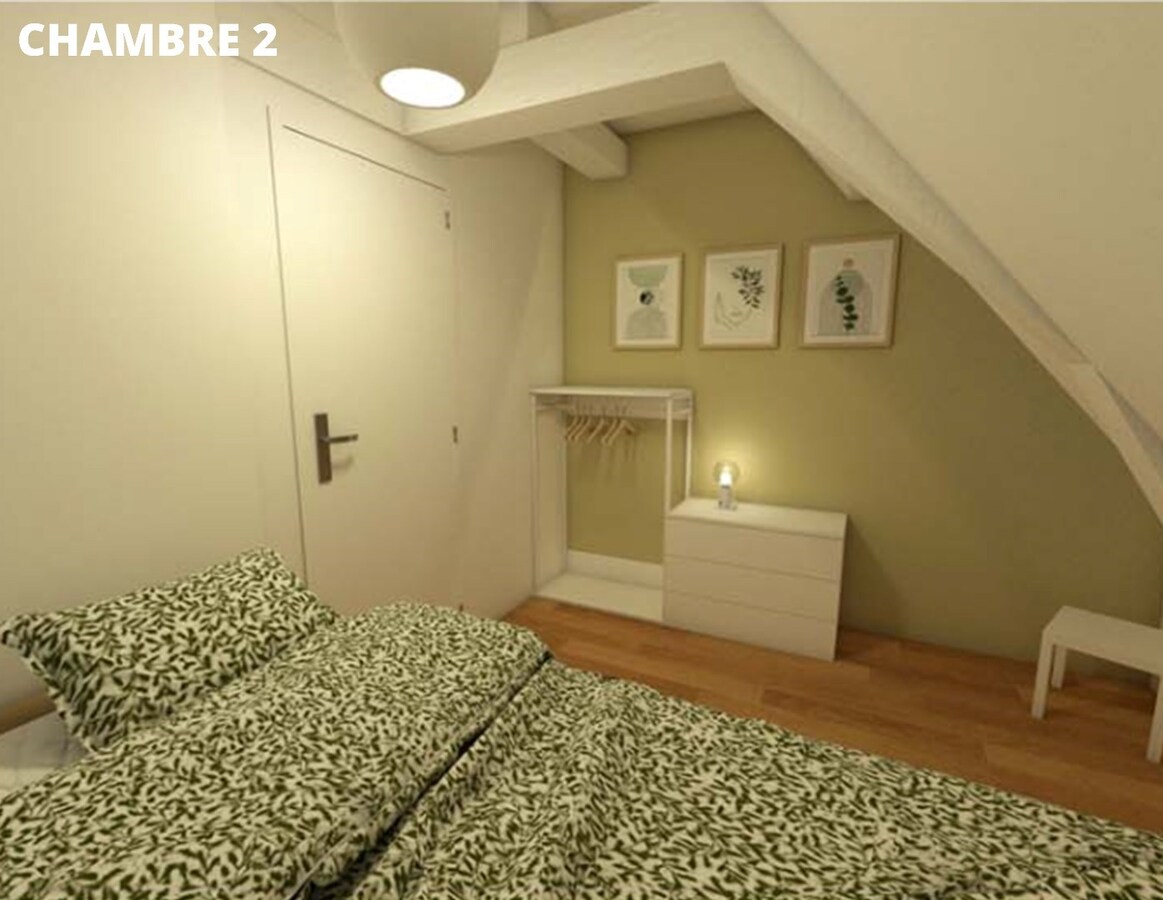 COLOCATION - Duplex avec 2 chambres meublé, rénové et décoré ! 