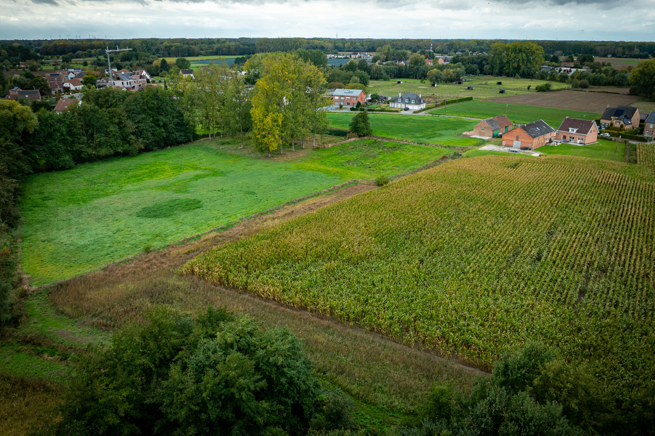 Landelijk gelegen eigendom met uitzonderlijk ruime bijgebouwen op een perceel van ca. 2,02 ha in Puurs-Sint-Amands BEZOEKDAG OP 14 NOVEMBER VAN 10U TOT 14U OP AFSPRAAK 