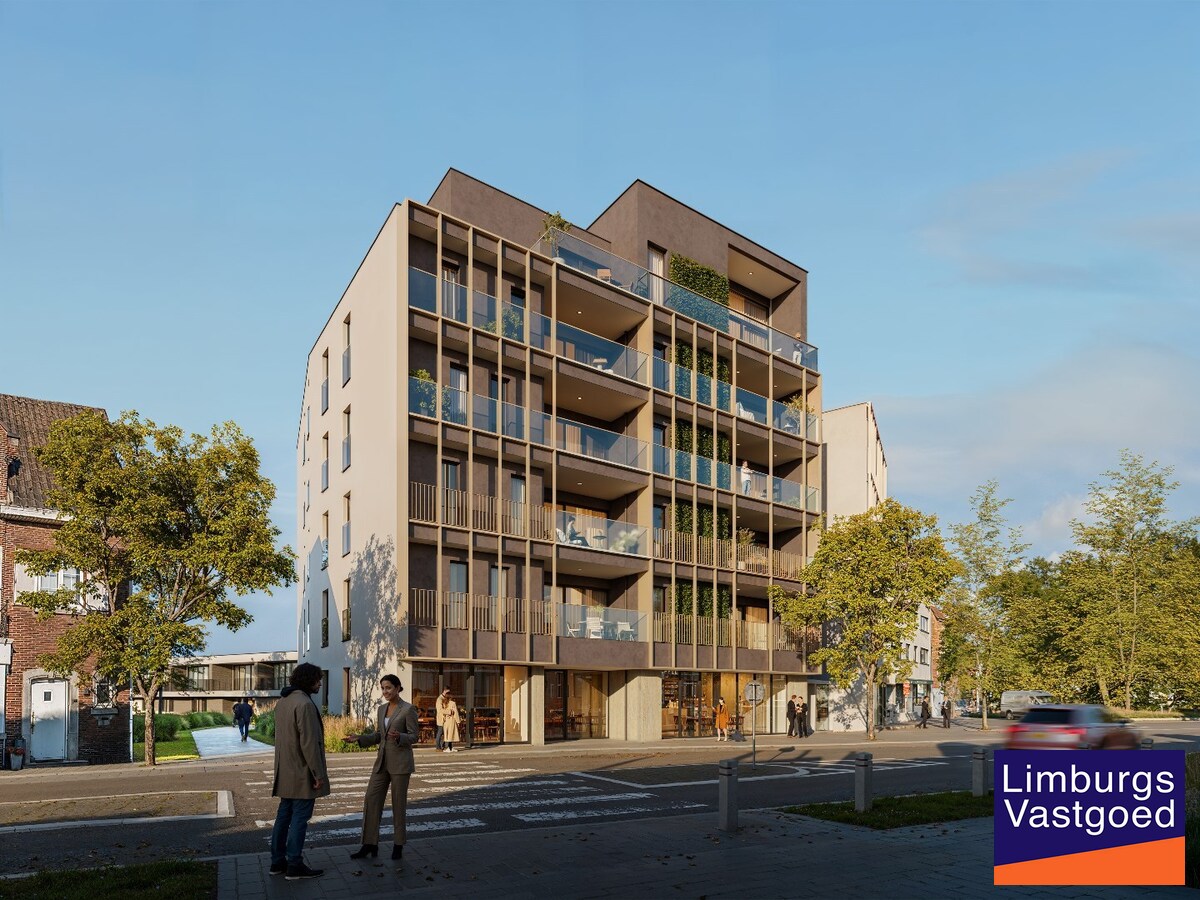 Casco Commercieel gelijkvloers met terras, 219 m², centrum Hasselt 