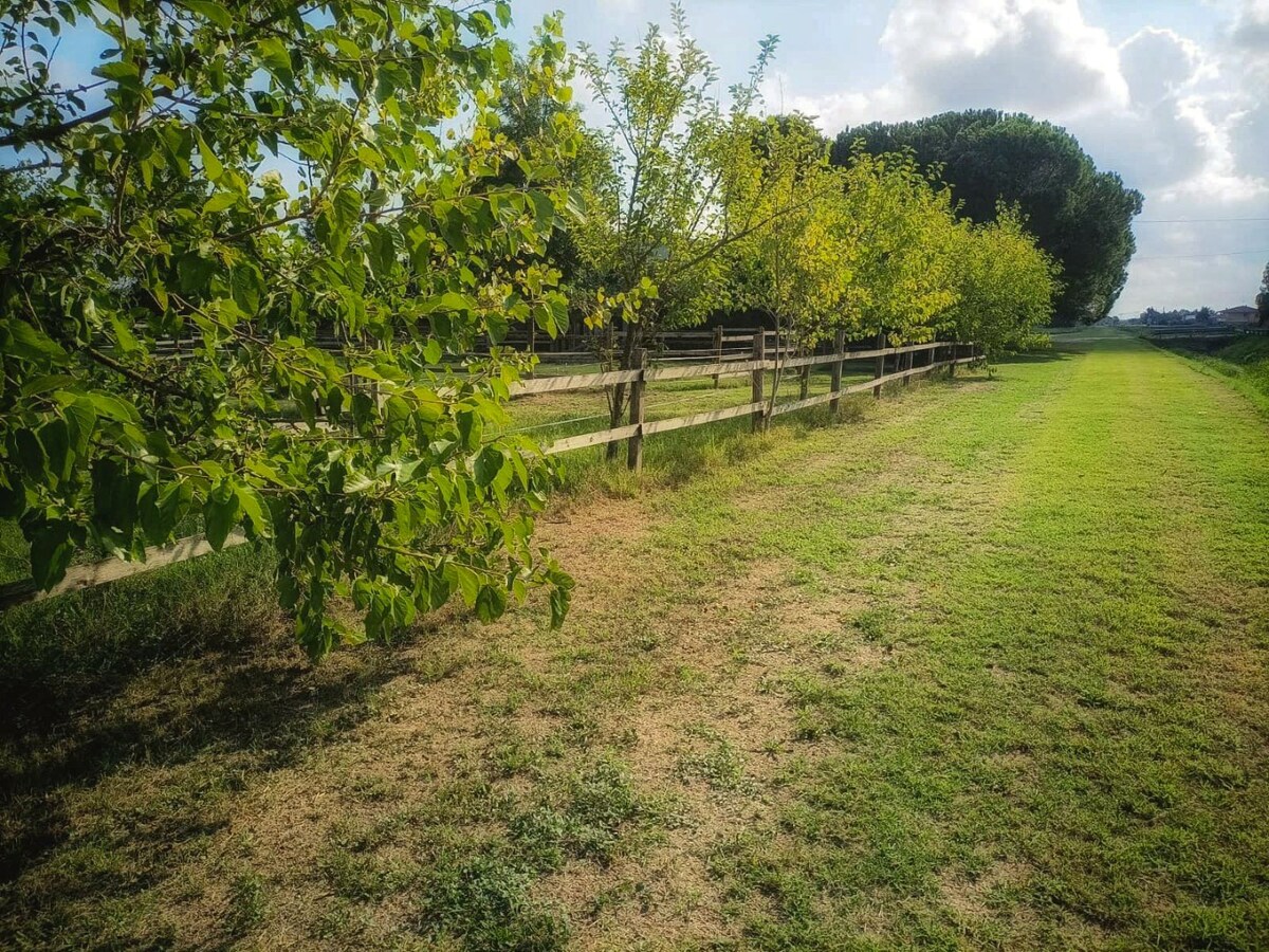 Landelijke hoeve met paardenfaciliteiten op ca. 1,3ha te Riva del Po (Noord-Italië) 