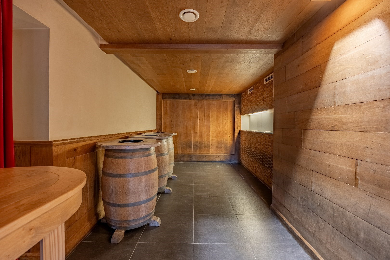 Dancing 'Alphorn' met bovenwoning 