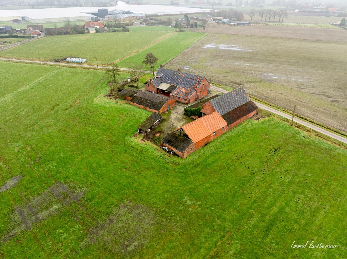Ferme caractéristique avec une grande grange sur environ 2 hectares à Hoogstraten (achat de terrain supplémentaire d'environ 4 hectares possible). 