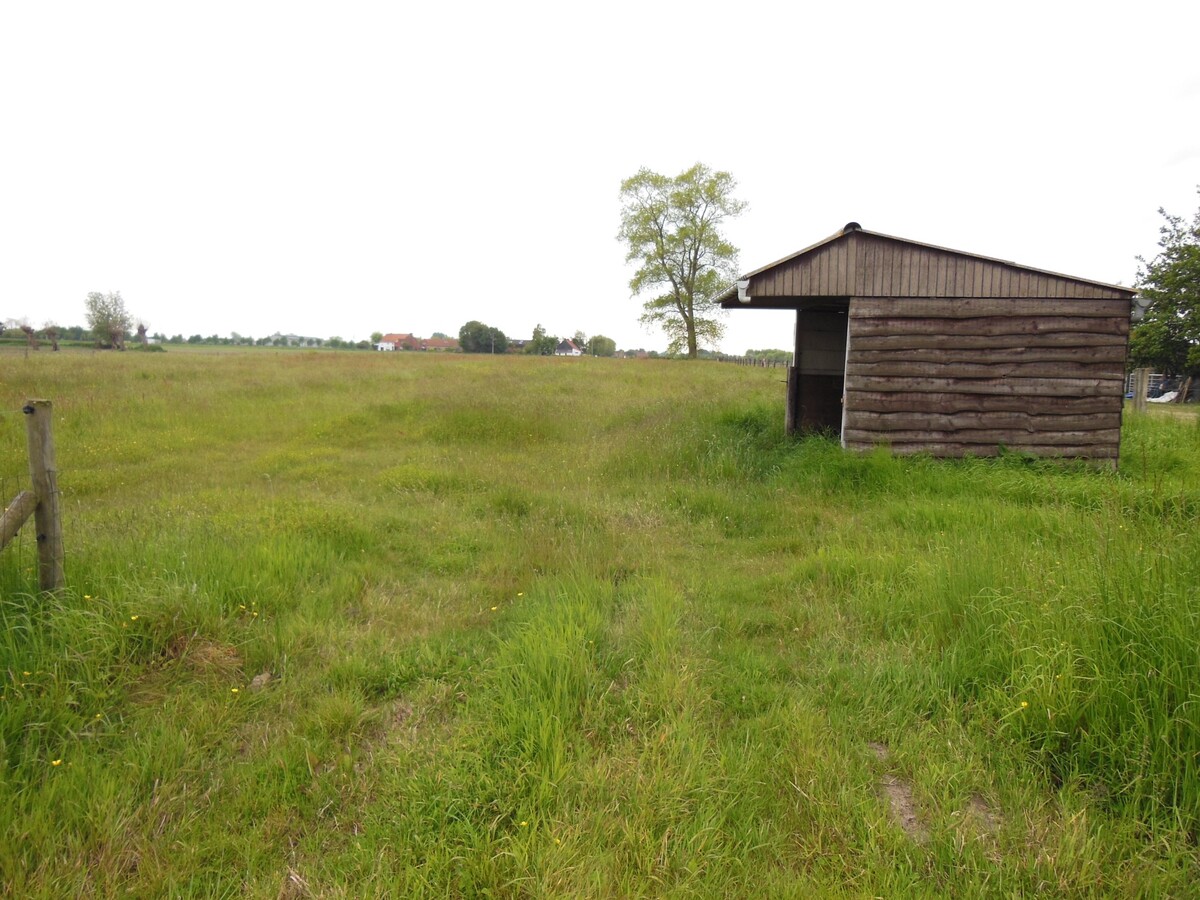 Mooi stuk bouwland te Zerkegem 