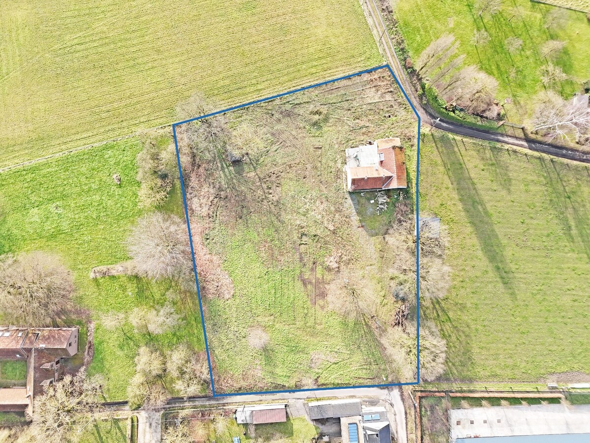 Idyllisch gelegen villa bouwgrond (4.460m²) of renovatieproject te Sint-Lievens-Esse 