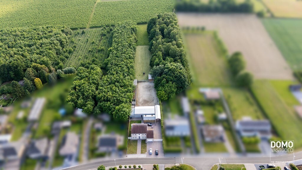 Ruime villa met paardenaccommodatie en wedstrijdstal gelegen te Herk-de-Stad - EPC-label: B - Bewoonbare vloeroppervlakte: 296m² 