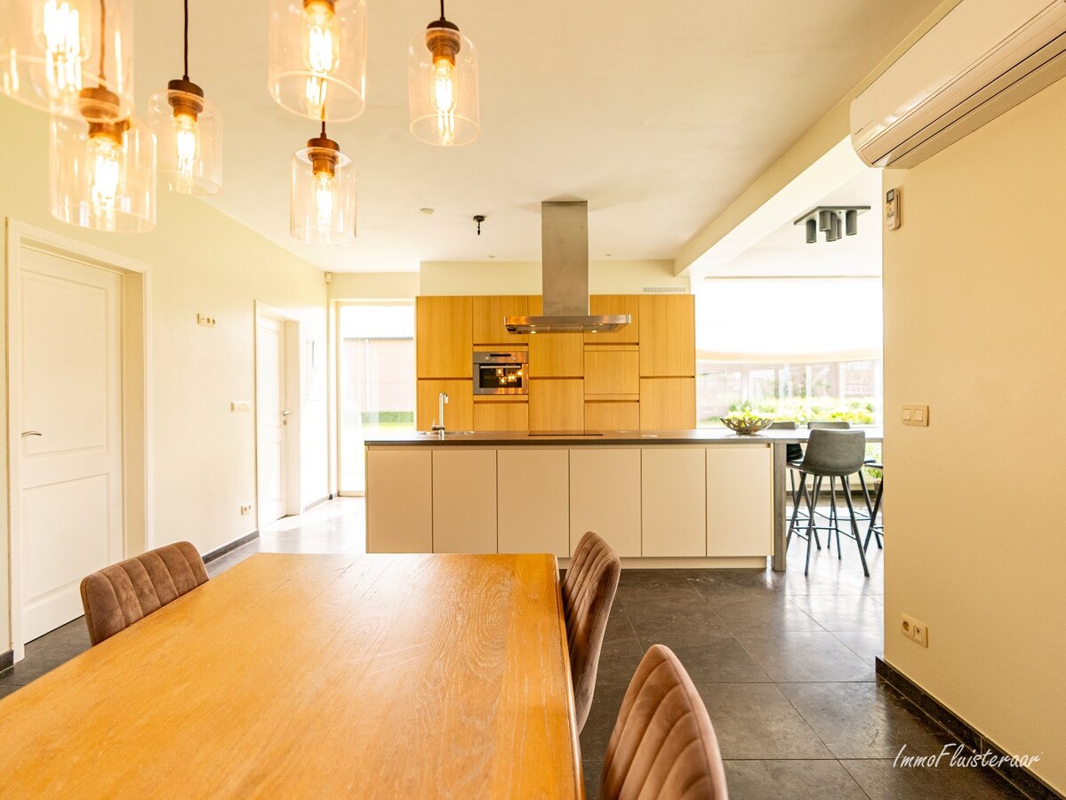 Beautiful equestrian accommodation on appr.  2.4 ha/5,94 acres in Meerle/Hoogstraten 