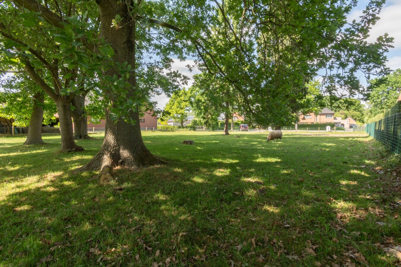 Bouwlot met achterin volwassen eiken (707m) te Lochristi 