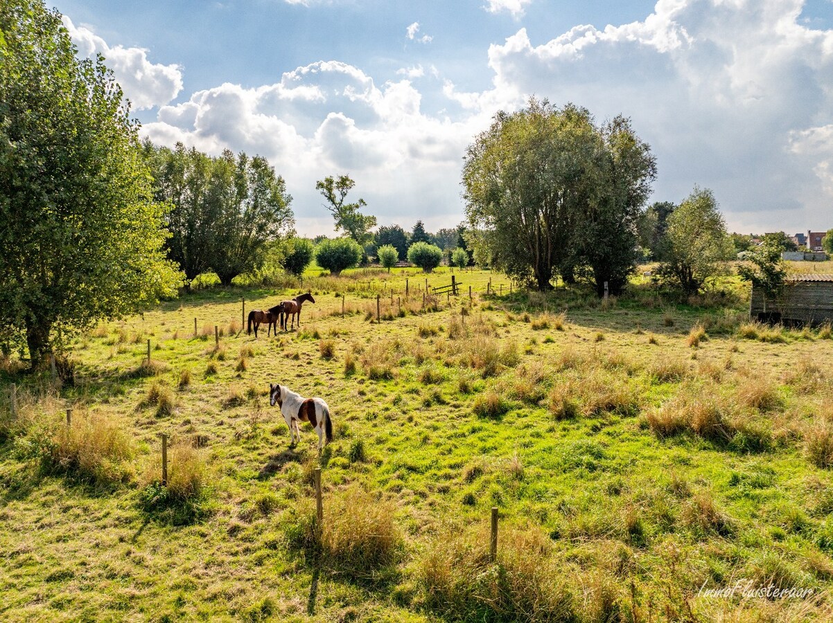 Charmante woning met stallen, buitenpiste en weide  op ca. 2 ha te OUDENBURG 