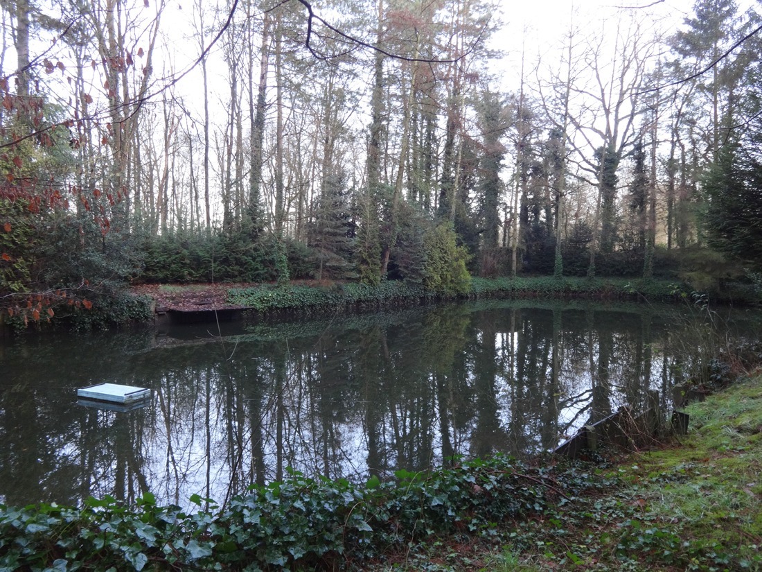 Verkocht bos - Berbroek