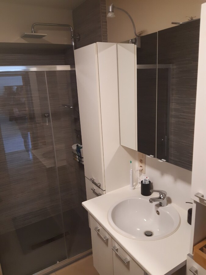 Lichtrijk dakappartement (geen vaste kosten). 