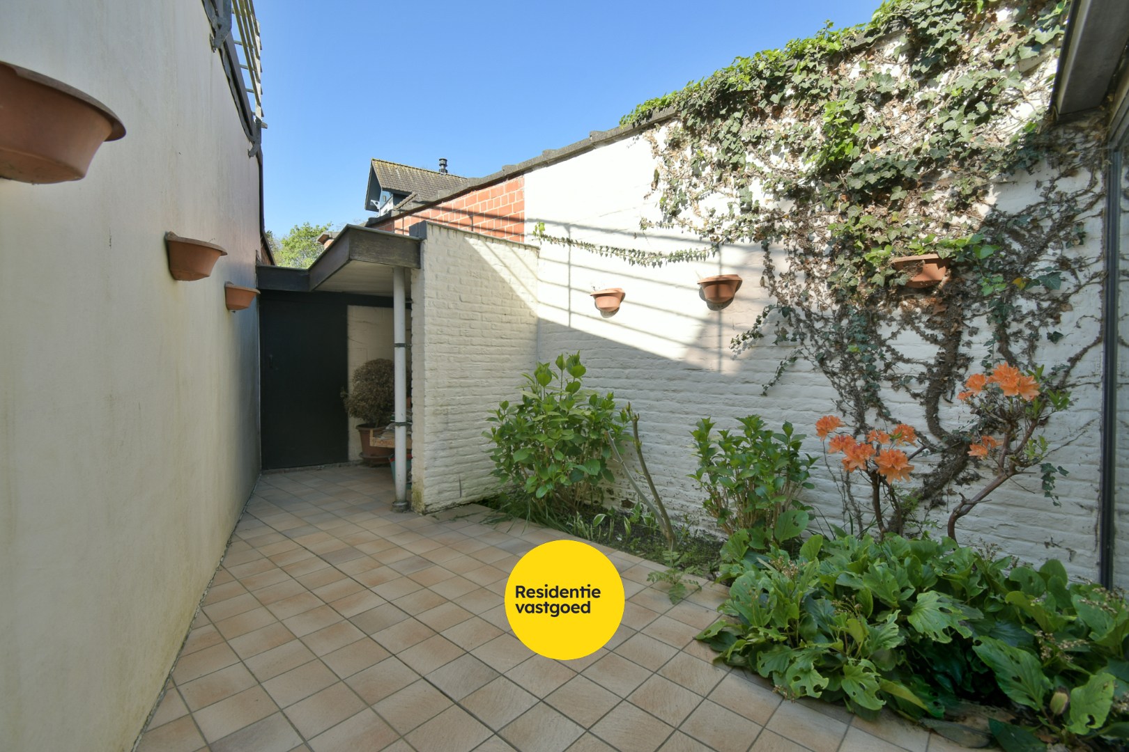 KIJKDAG zaterdag 9 mei van 14u tot 16u, op afspraak! 