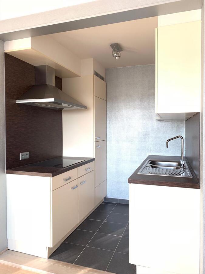 MOOIE STUDIO AAN DUINEN 