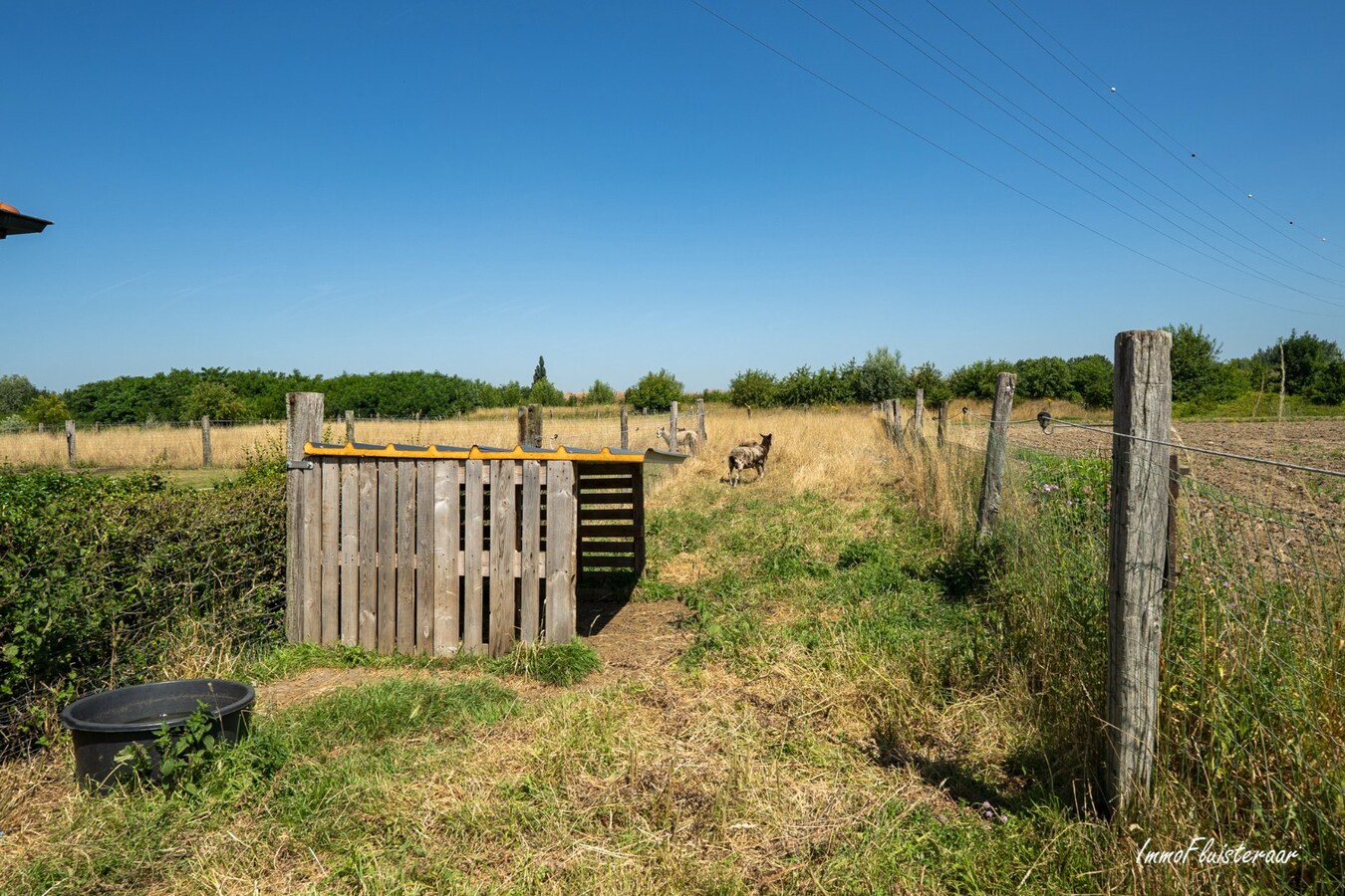 Unieke eigendom met paardenaccommodatie op 33.647 m² in Menen 