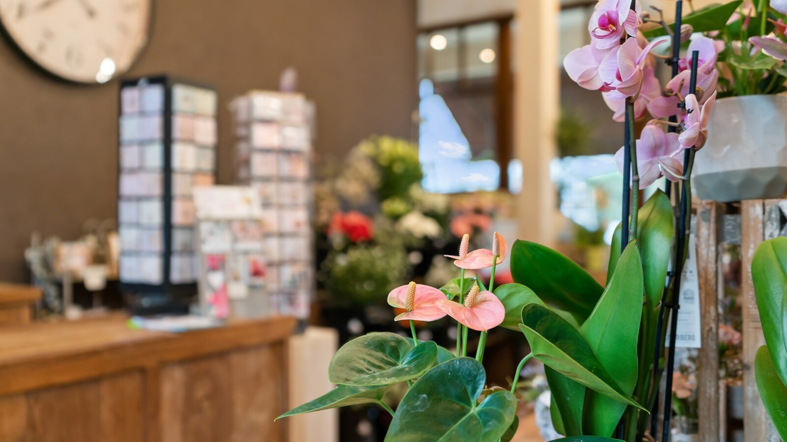 KESSEL-LO Handelspand + garage 