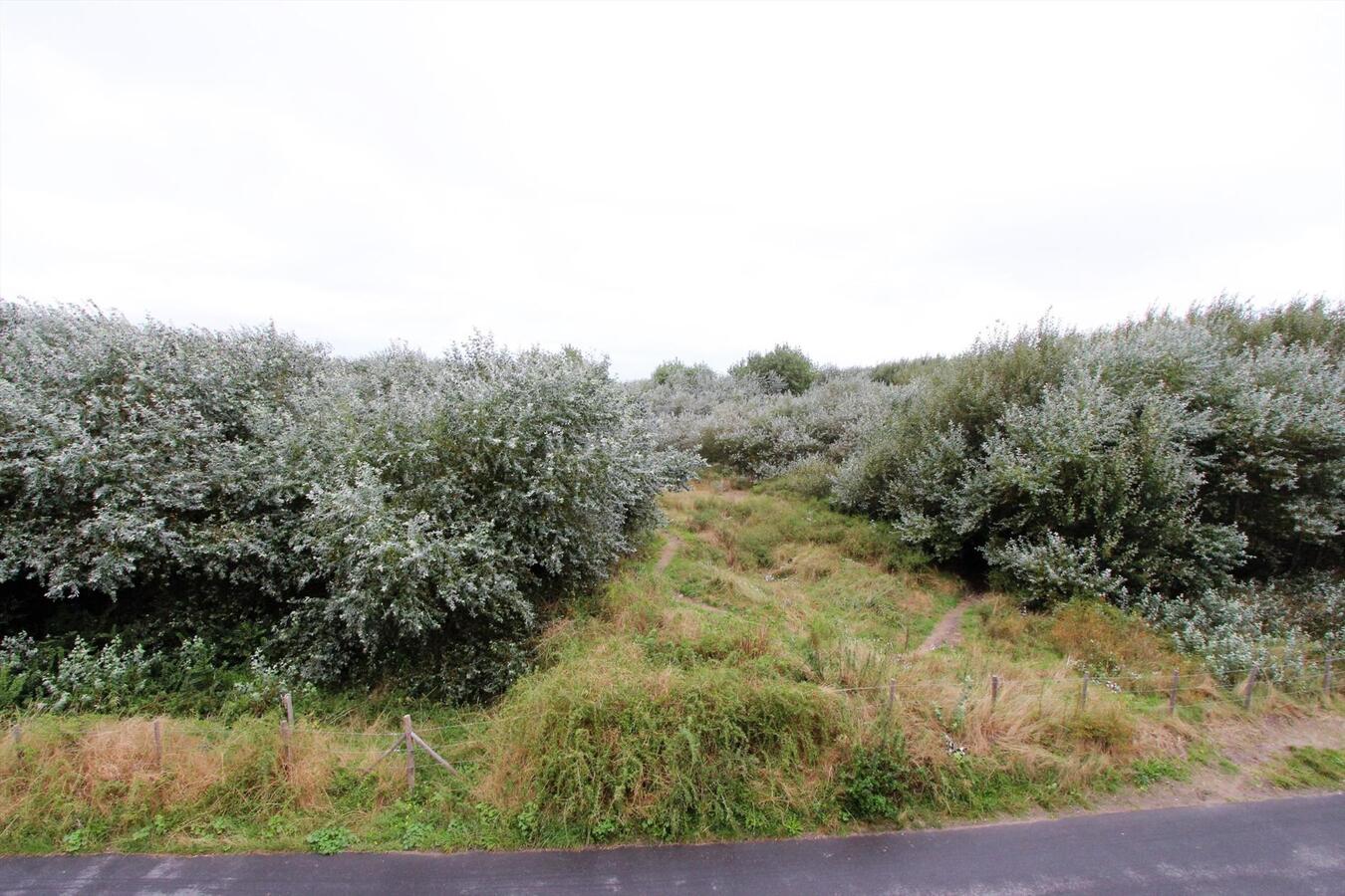 Rustig gelegen en perfect zon-georiënteerd villa-appartement met vrij zicht op beschermd duinengebied  in Middelkerke 