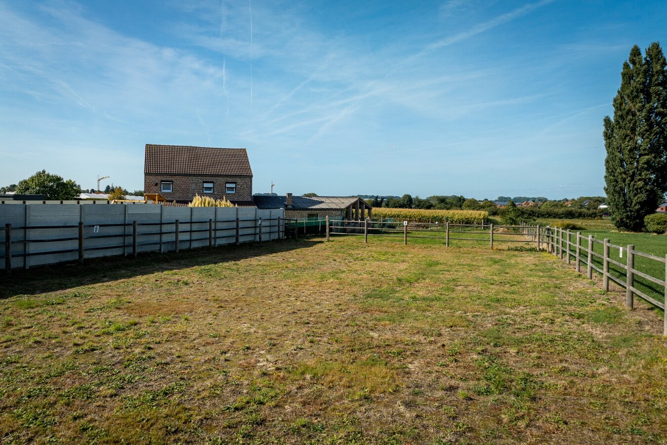Renovated property with drained track and pasture on approximately 16 ares in Mielen-boven-Aalst. 