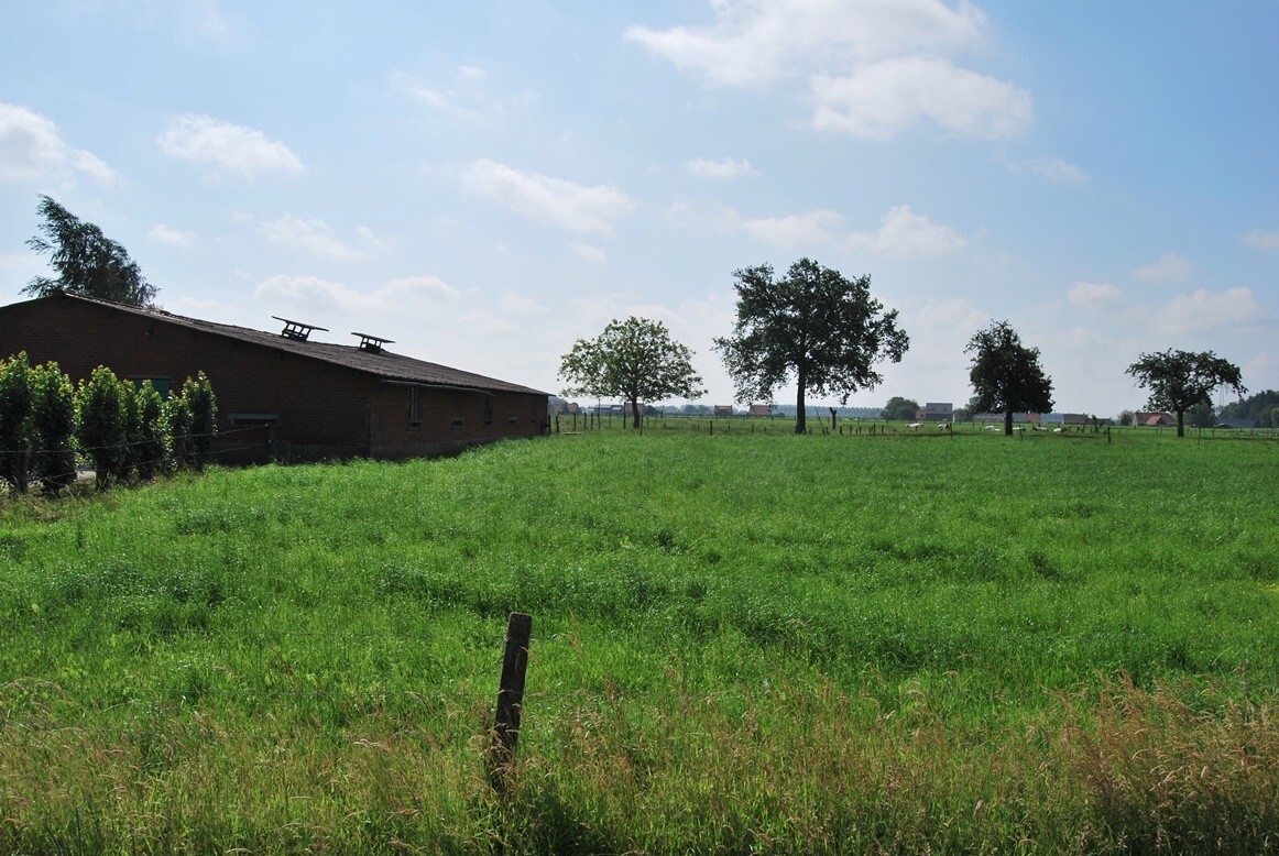 Te renoveren hoeve met stallingen op 9.333m² (+ev. 5ha) te Deinze 