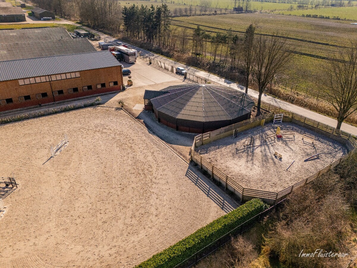 Complete paardenaccommodatie met studio op ca. 1,1ha te Bree 