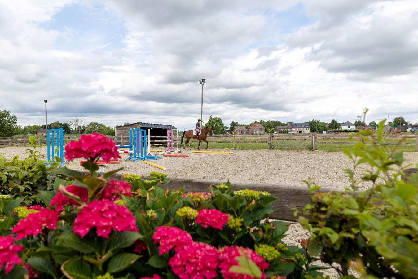 Villa exclusive avec des installations équestres sur environ 1,3 ha à Sint-Katelijne-Waver 