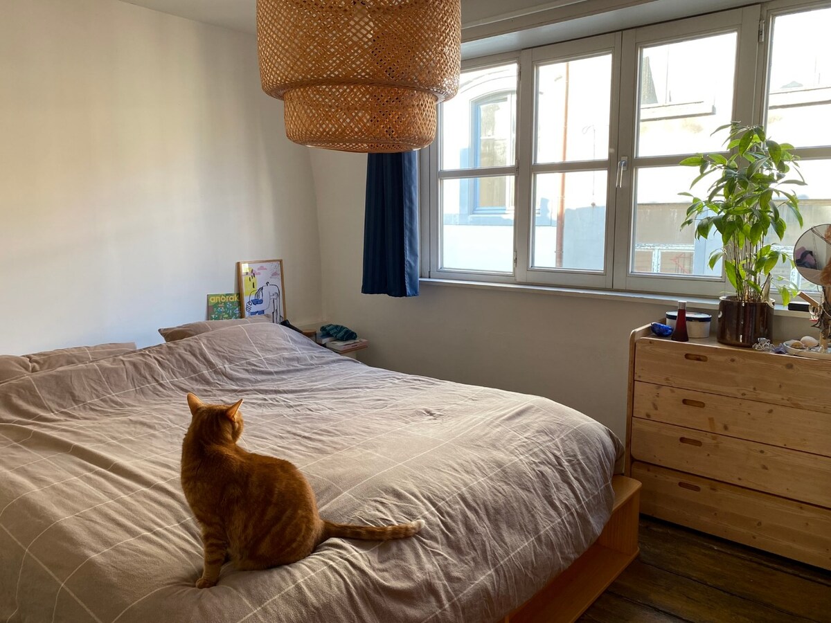 Authentiek wonen in de schaduw van Sint-Baafs. 