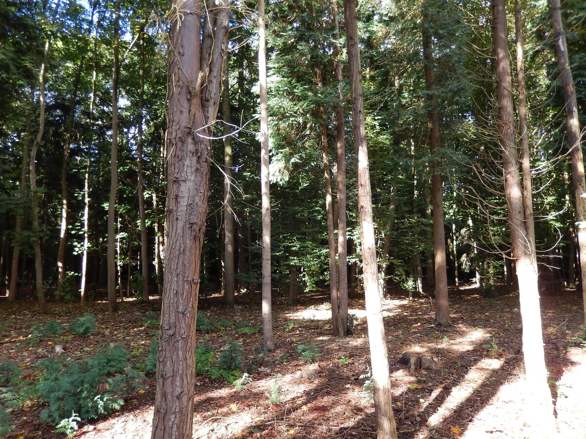 Verkocht - Grond - Varsenare