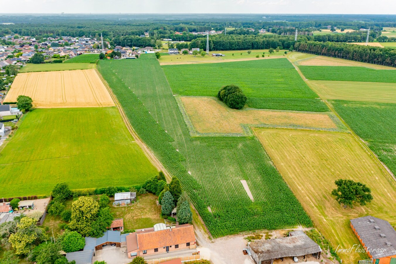 Verkocht weiland - Wijshagen