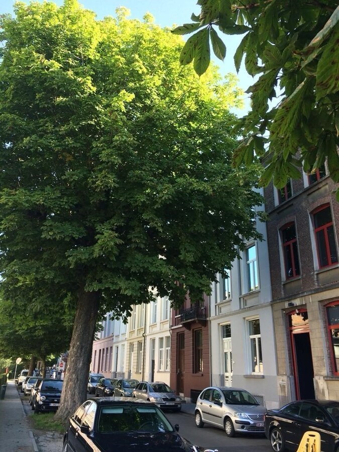 Gelijkvloerse kantoorruimte in een karaktervol herenhuis. 