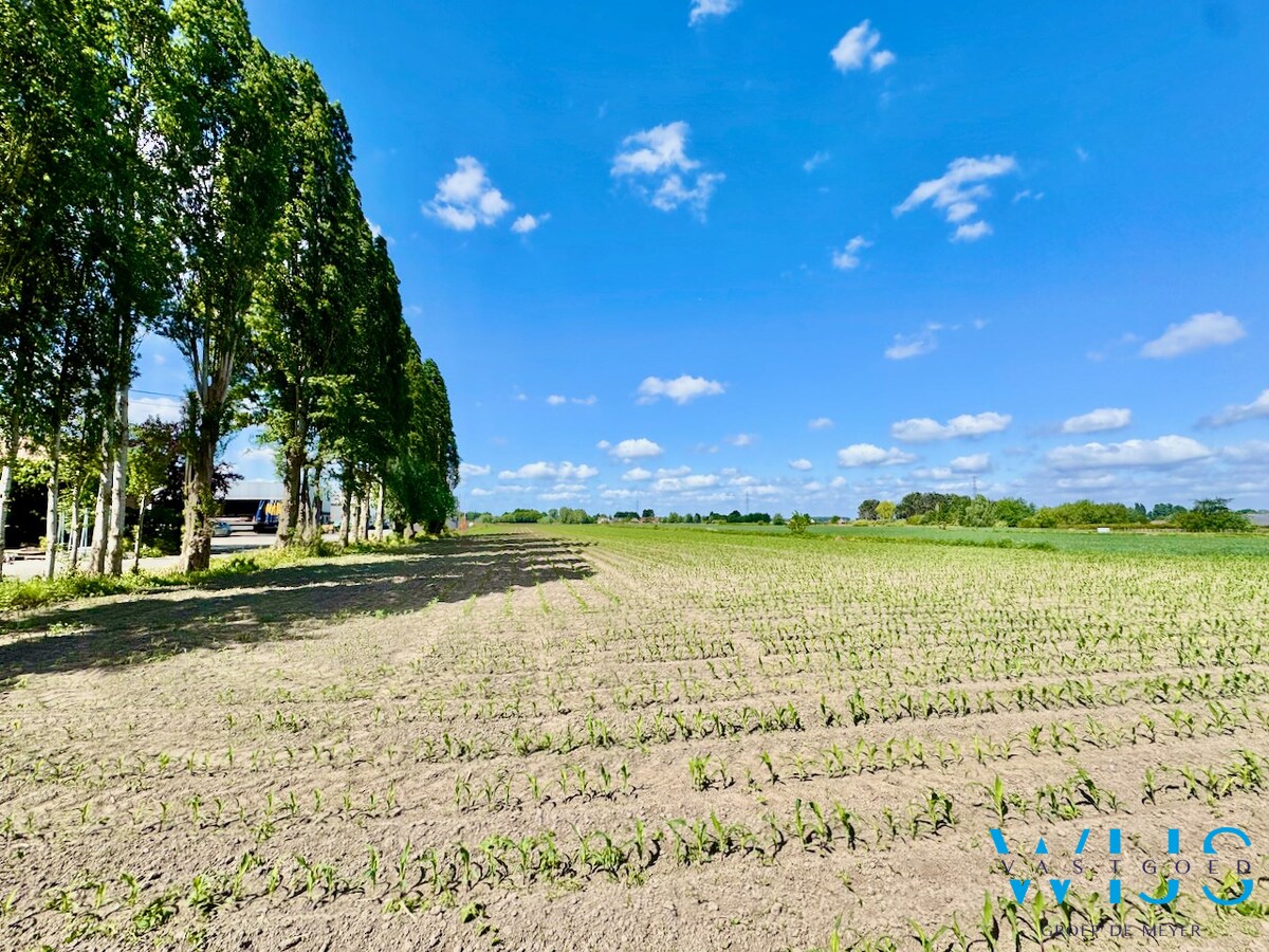 Verrassend ruim woonhuis in het landelijke Sleidinge ! 