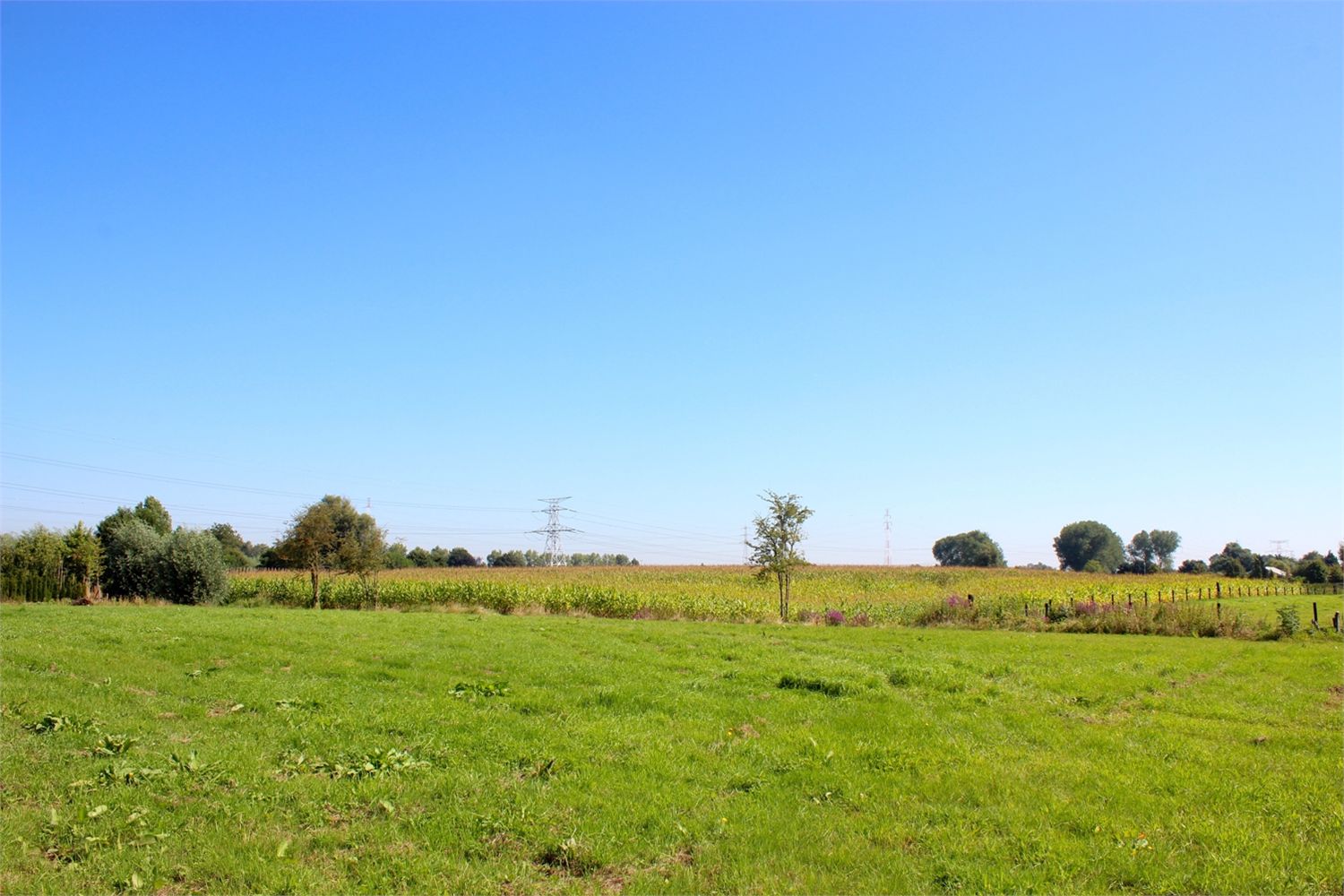 Grond verkocht in Tielrode