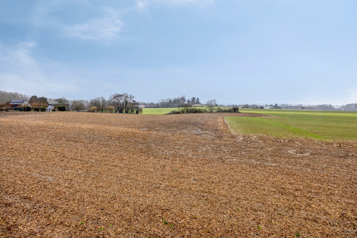 Landbouwgrond vrij van pacht in Bierbeek op een perceel van 1ha 