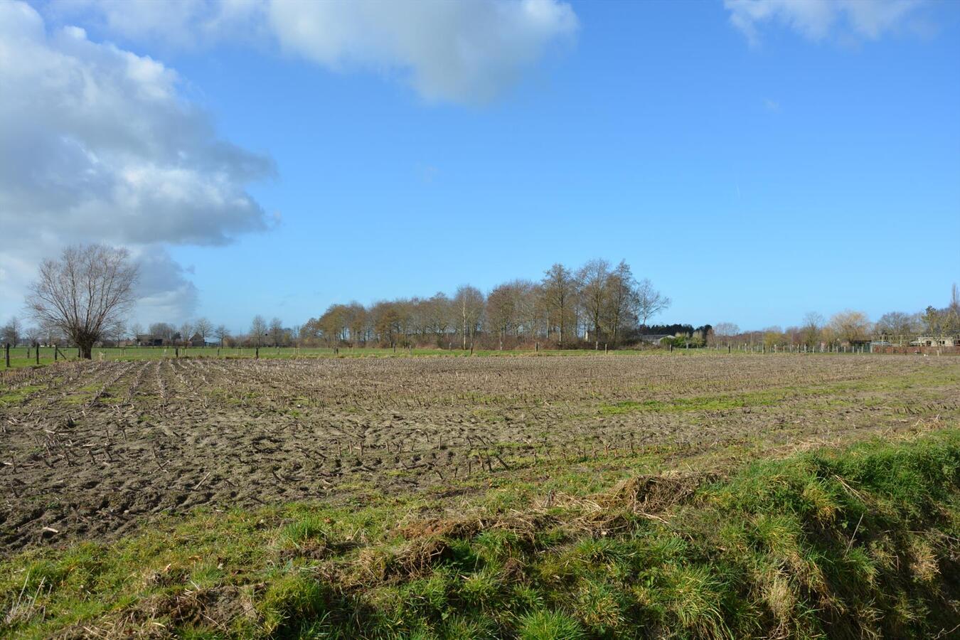 Ruime half-open woning 