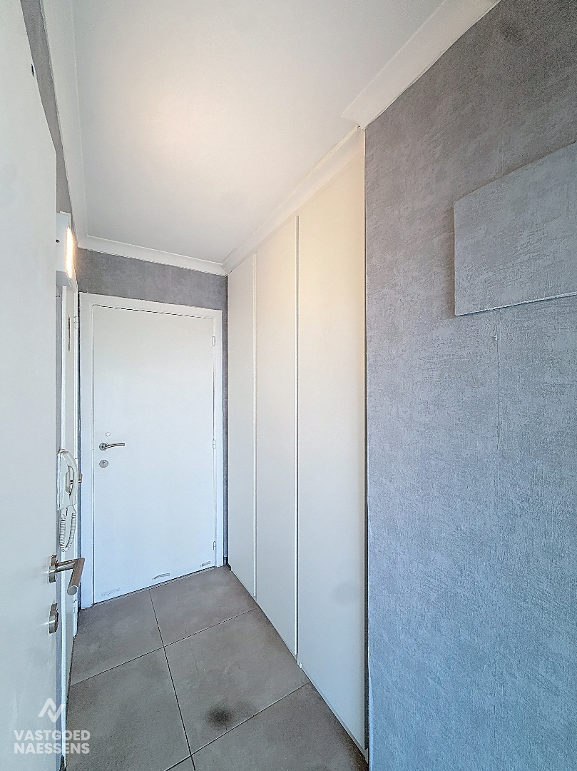 Studio prêt à emménager avec coin chambre et terrasse ensoleillée 