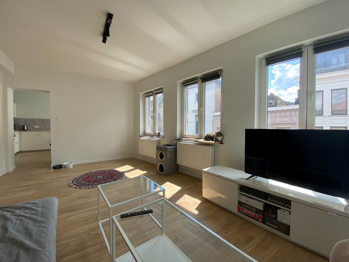 Appartement loué À Tournai