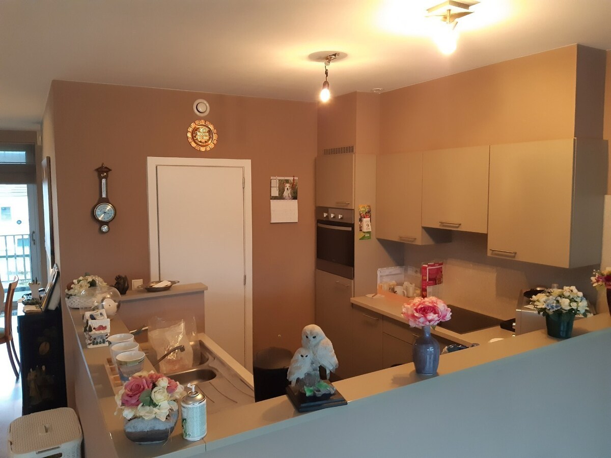 Ruim appartement met 2 terrassen. 