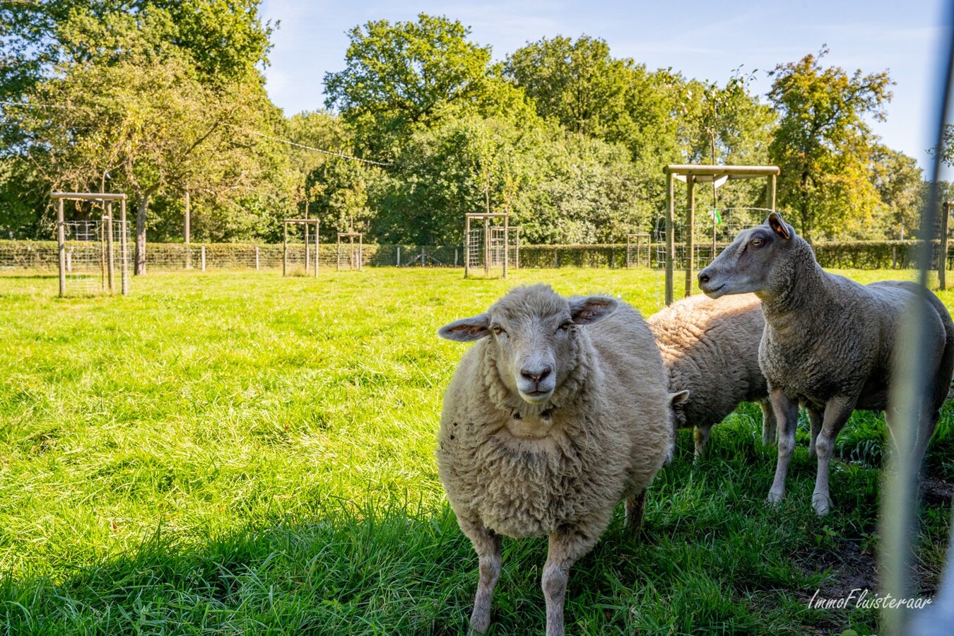 Ferme unique dans un emplacement exceptionnel sur environ 5 hectares à Peer 