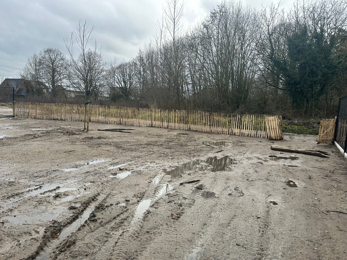 Lichtrijke, eigentijdse nieuwbouwwoningen 