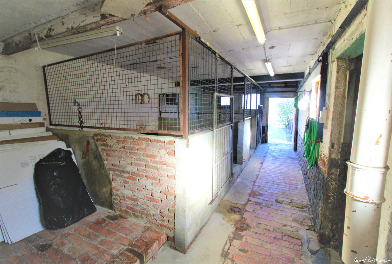 EN OPTION - Maison avec annexes et prés sur environ 1ha à Tollembeek/Galmaarden (Brabant Flamand) 