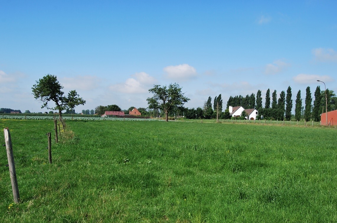 Te renoveren hoeve met stallingen op 9.333m² (+ev. 5ha) te Deinze 