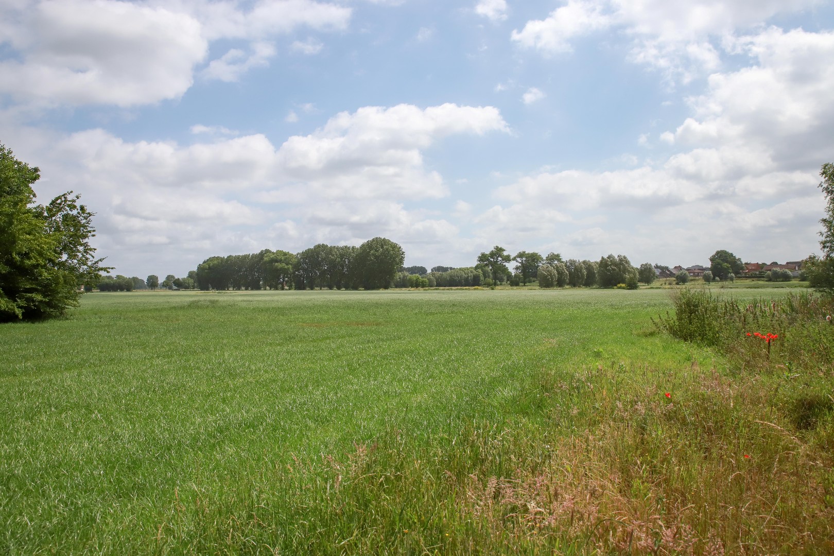 Authenthieke hoeve met bijgebouwen op een domein van ca 2,3 hectare 