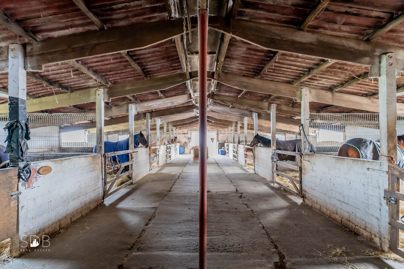 Landelijke woning met paardenaccommodatie en graslanden op 3ha 71a 90ca 