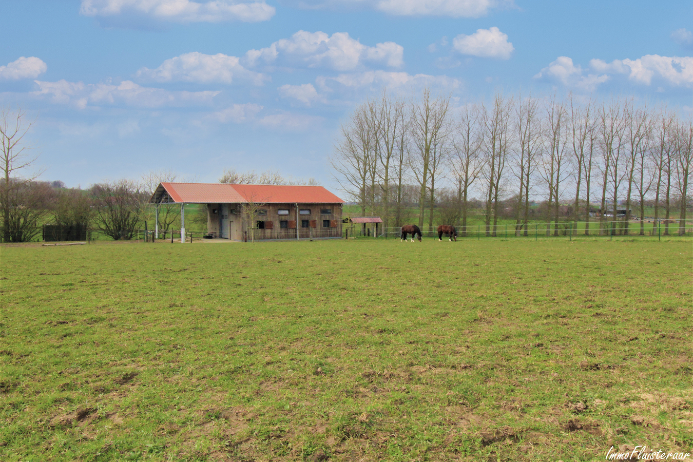 Magnifique propriété avec grande habitation, écuries, salle polyvalente, terrain à bâtir et prairies sur environ 1,67ha à Ellezelles (Hainaut) 