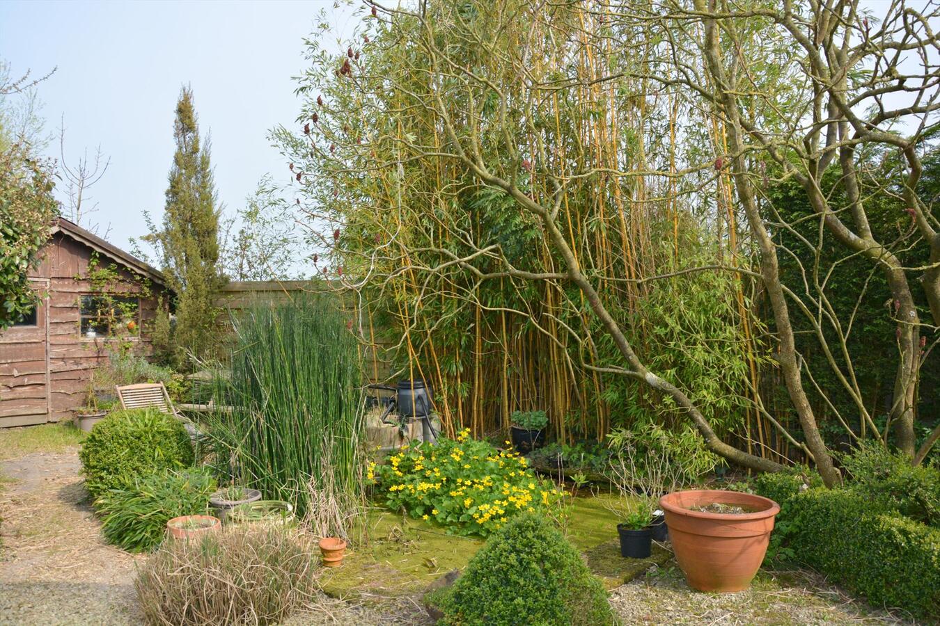 Instapklare woning met 5 slaapkamers op een grondopp. 3.349m² 