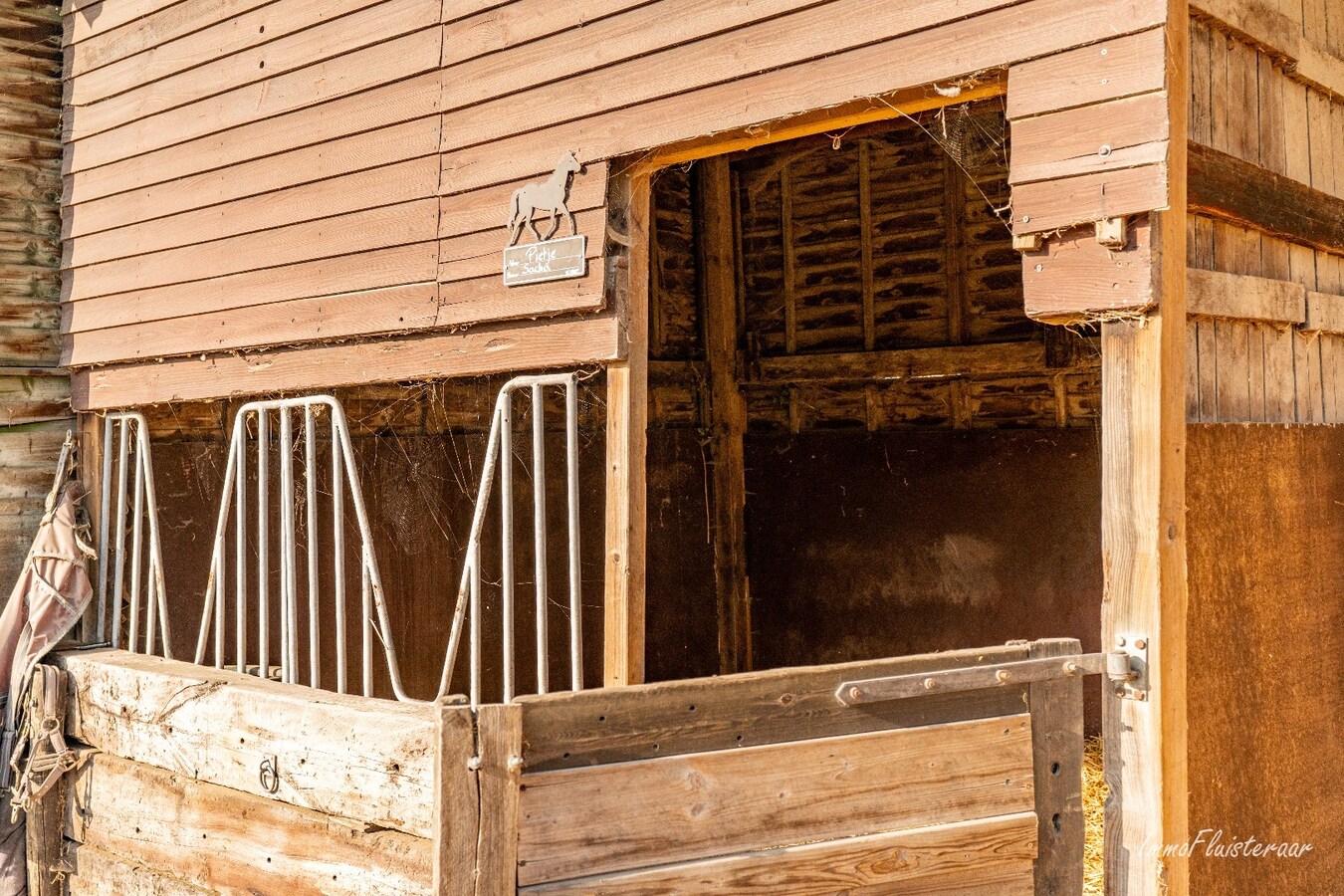 Charmante woning met stallen, buitenpiste en weide  op ca. 2 ha te OUDENBURG 