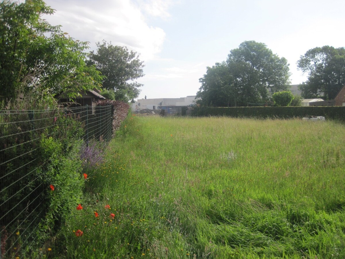 Bouwgrond (Half Open) in Asper 