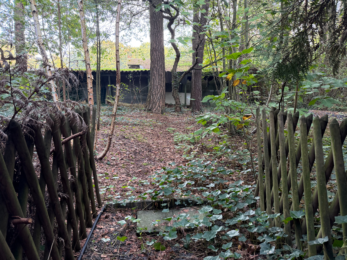 Rustig wonen midden in de bossen op een perceel van 2.005 m² in Schilde 