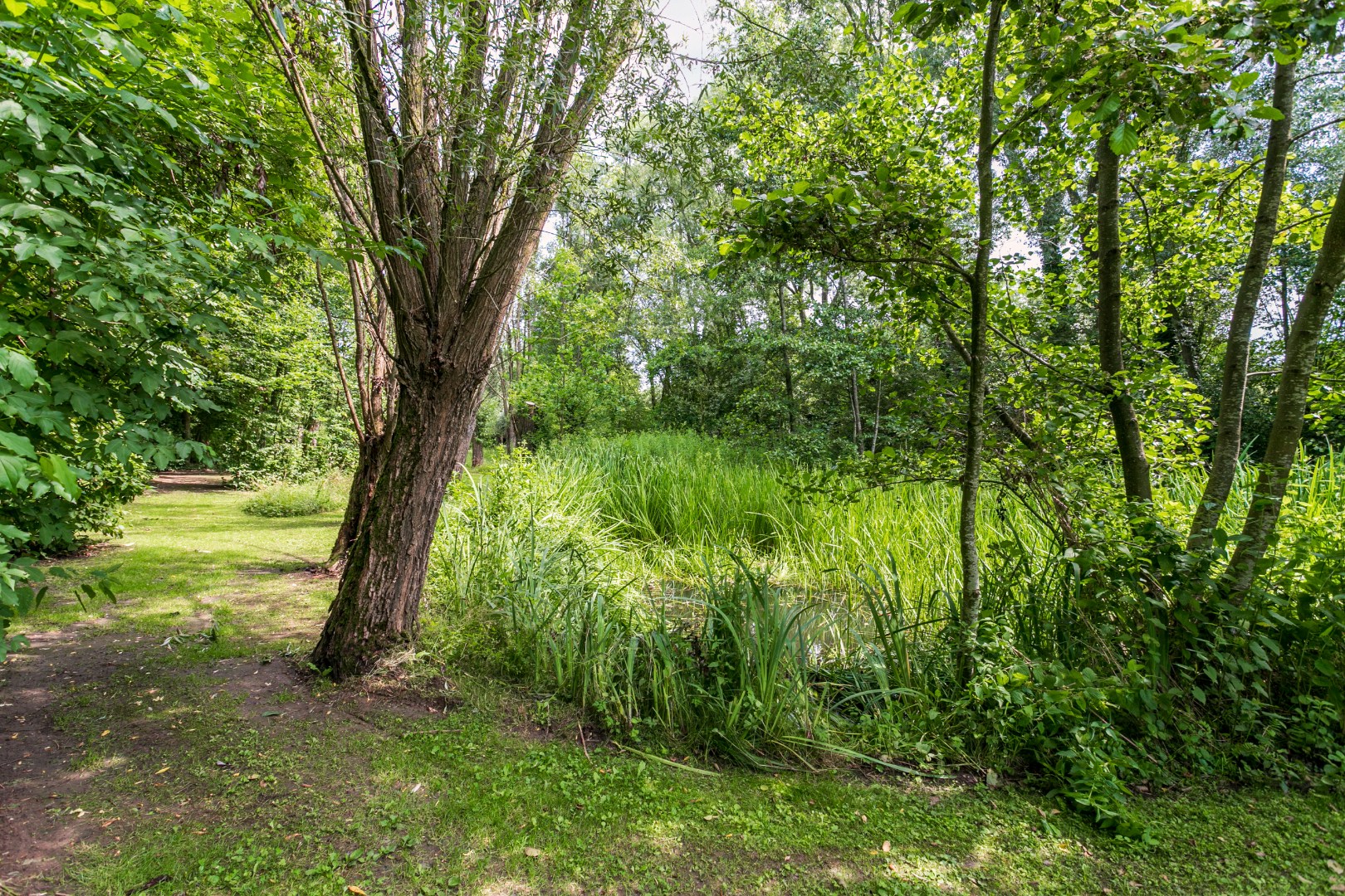 Ruime woning gelegen in een groene omgeving 