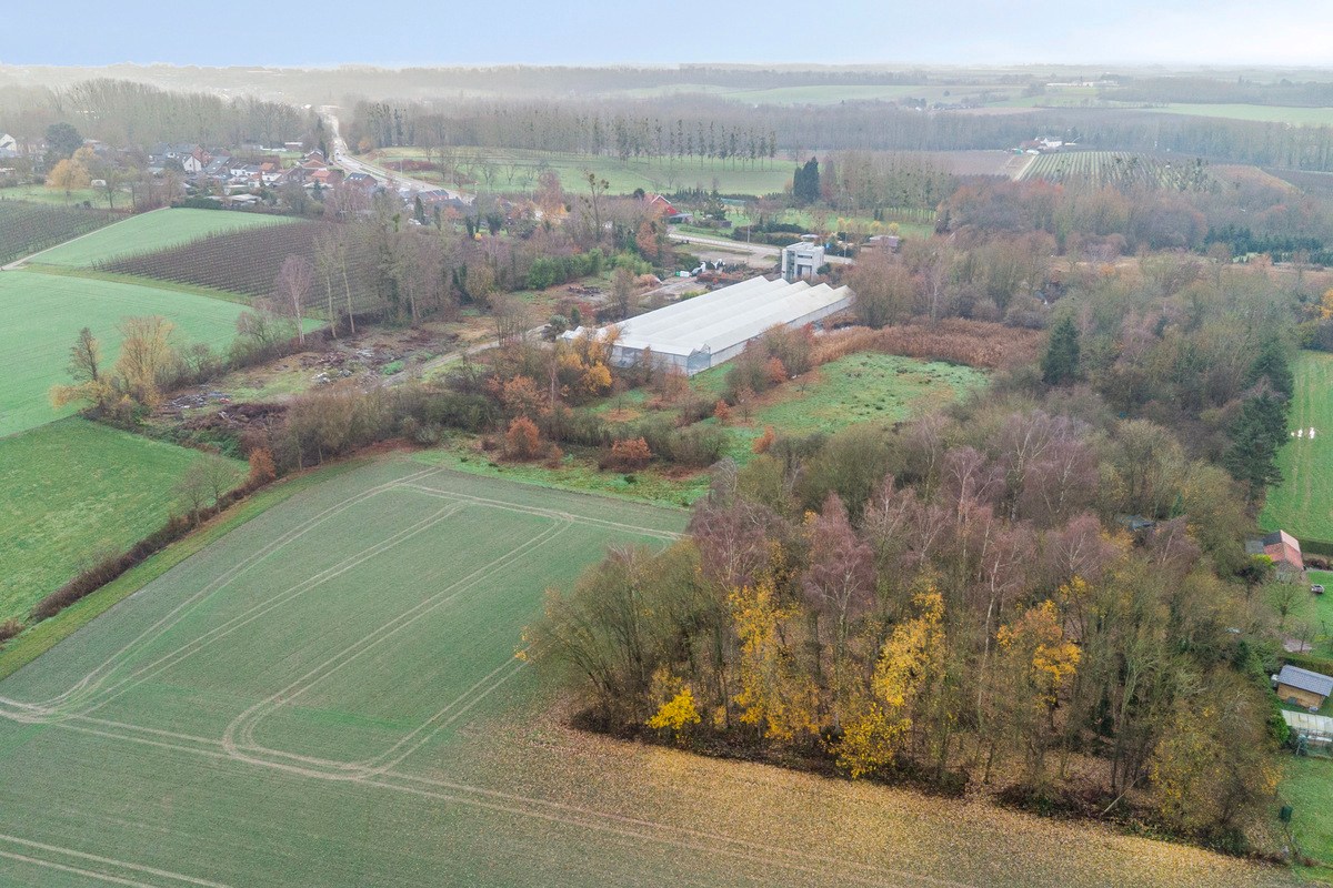 Tuinbouwcentrum met ruime woning op een perceel van 4,26 hectare 