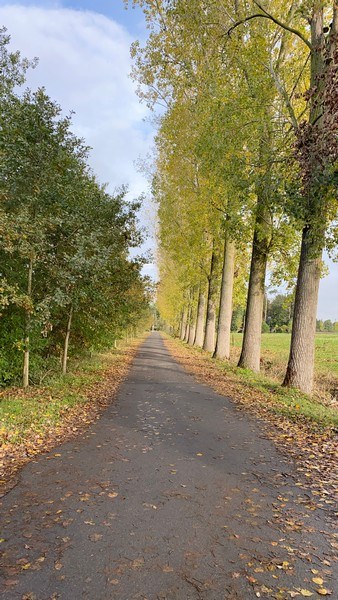 Rustig gelegen kantoren te huur in gerenoveerde hoeve in Heusden