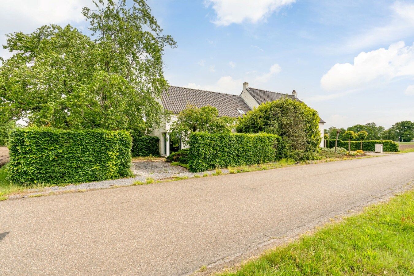 Ruime, zeer rustig gelegen woning op een perceel 29a90ca te Molenbeersel - een deelgemeente van Kinrooi! 